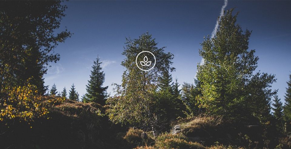 Products made with love to the nature Products made with love to the nature