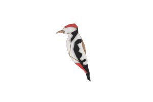 Fa bross Woodpecker Brooch
