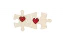 Fa bross Puzzle 1 Brooch