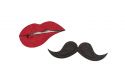 Fa bross Lips Brooch