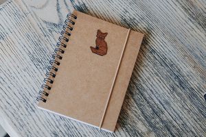 Sitting Fox A6 Lined Notebook