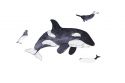 Mini fa puzzle – Kardszárnyú delfin – Epipi márkájú