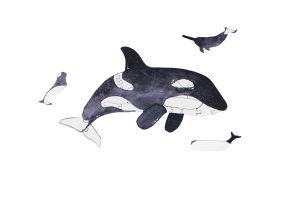 Mini fa puzzle – Kardszárnyú delfin – Epipi márkájú