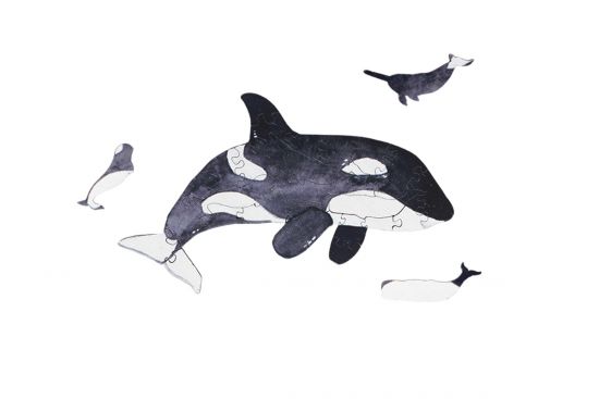 Mini fa puzzle – Kardszárnyú delfin – Epipi márkájú