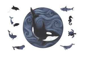 Fa puzzle – Kardszárnyú delfin