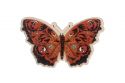 Fából készült bross Rouge Butterfly Brooch