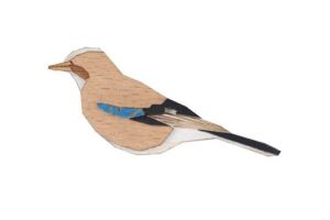 Fa bross Jay Brooch