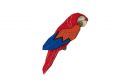 Fa bross Ara Parrot Brooch