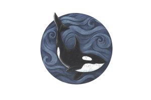 Fa puzzle kardszárnyú delfin 