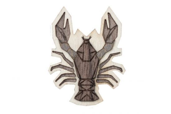 Fa bross Cancer Brooch