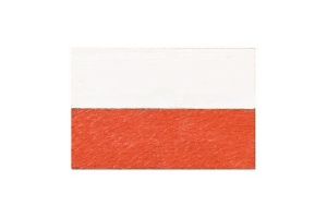 Polish Flag Brooch