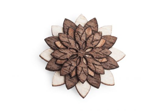 Kitüzö Illa Flower