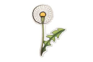 Fa bross Dandelion Brooch
