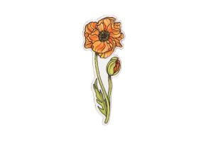 Fa bross Icelandic Poppy Brooch