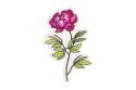 Fa bross Peony Brooch