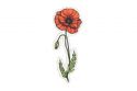 Fa bross Poppy Brooch
