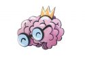 Clever Brain fa bross