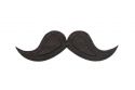 Fa bross Moustache Brooch
