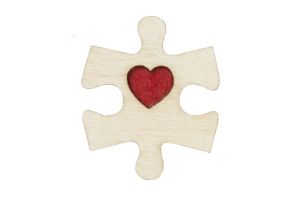 Fa bross Puzzle 2 brooch