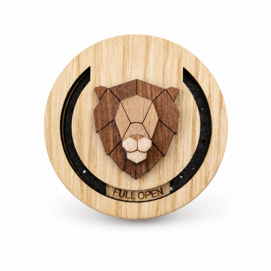 Lion fa autóillatosító diffúzor
